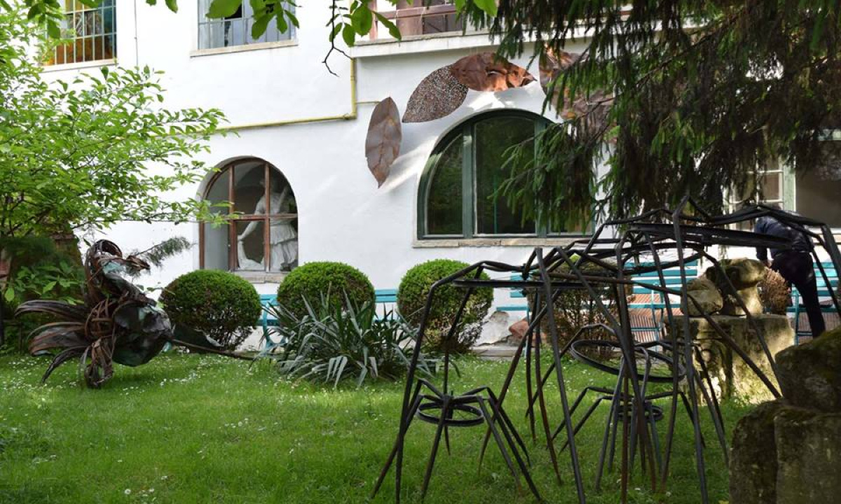 Gradina Casa Matei 2